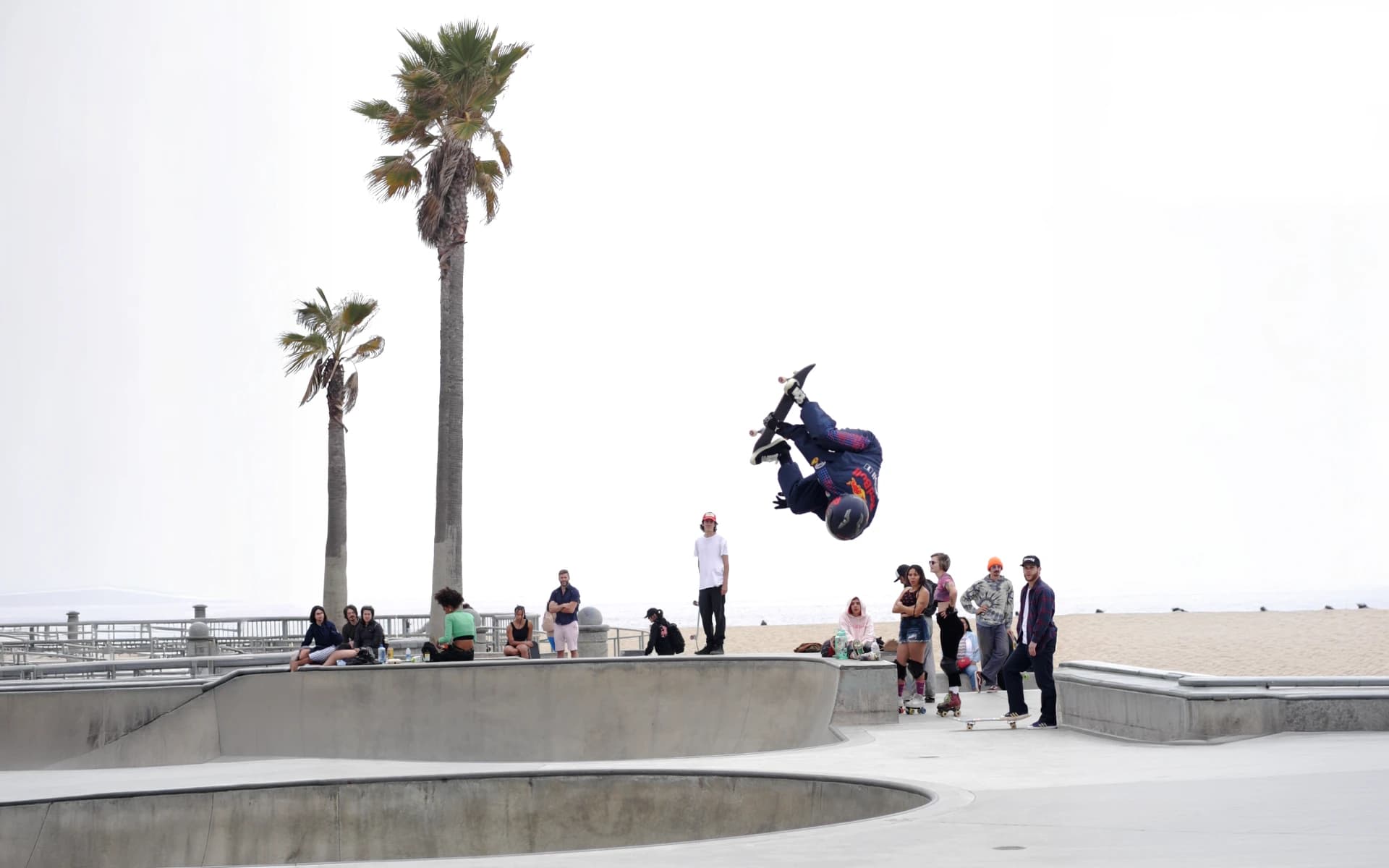 Venice Skatepark